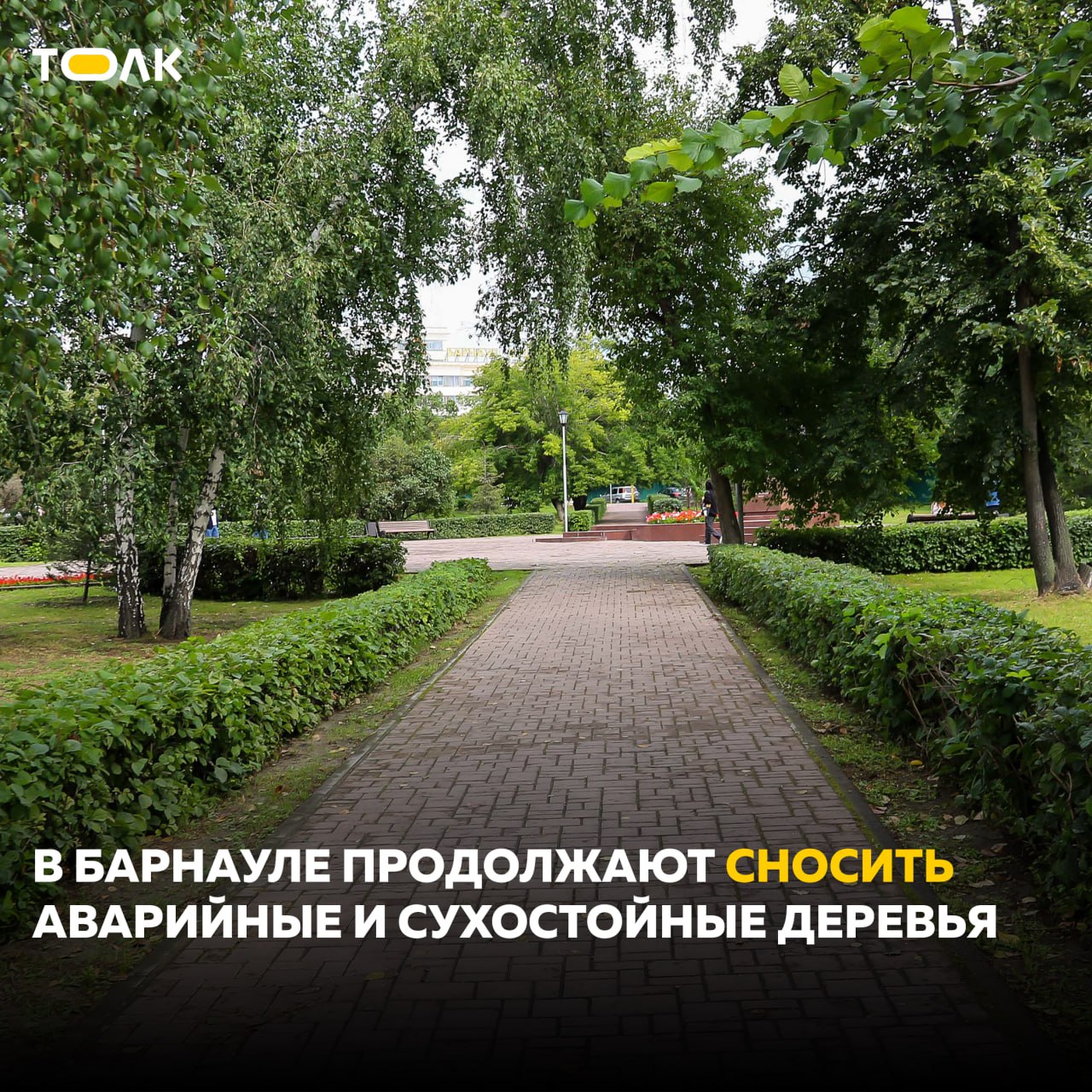На снос аварийных и сухостойных деревьев в Барнауле выделили более 9 млн рублей  Недавно МБУ "Благоустройство и озеленение" заключило контракты на удаление 213 деревьев. Подрядчик, работающий за счет субсидии, продолжит убирать аварийные деревья во всех районах города На данный момент работы проводятся в Центральном районе по адресам: улица Анатолия, 315, улица Гвардейская, 10, улица Денисова, 144, улица Ляпидевского, 14б, переулок Пожарный, 5, улица Тяптина, 18 и другие.  Кроме того, в этом году будет высажено более 600 деревьев и 1,4 тысячи кустарников в рамках концепции "Барнаул – зеленый город".    ТОЛК