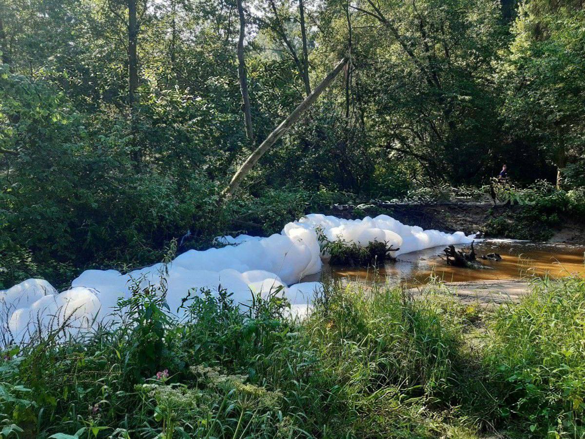 В Зеленограде река Сходня покрылась пеной Жители считают, что в воду что-то сливают. Подписаться Написать нам