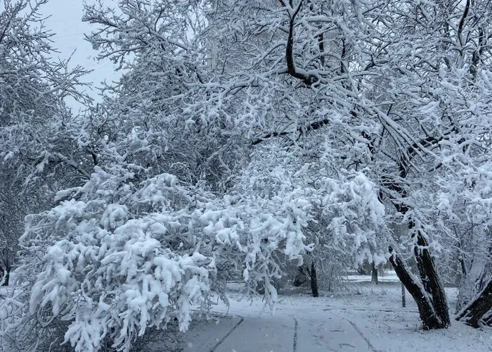Столичные парки закрыты в понедельник из за непогоды Из за мокрого снега и шквалистого ветра в городе зафиксированы более сотни случаев падения деревьев