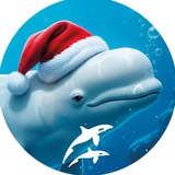 Аватар Телеграм канала: Приморский океанариум | Научно-образовательный комплекс