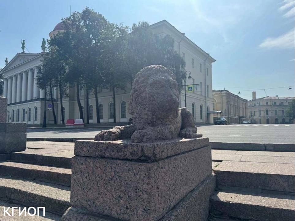 Львов со спуска у Биржевого моста увезут на реставрацию — за время они обзавелись мхами и лишайниками, кое-где утратили поздние вставки, а один из них даже часть хвоста. Чтобы вернуть им львиную гордость, памятники из розового овоидального гранита очистят от биопоражений, удалят неудачные следы прошлых реставраций, заделают трещины и восстановят все утраченные части — чтобы не было стыдно перед другими львами.