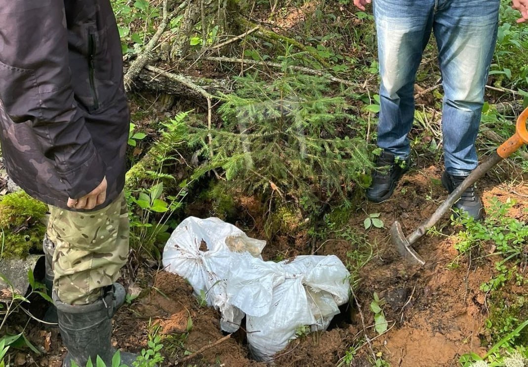 60-килограммовую закладку нашли в лесу под Питером. На тайник с наркотиками случайно наткнулась семья грибников.