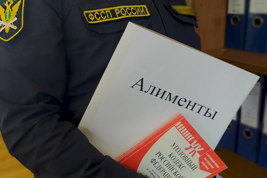 Отцы беглецы в Подмосковье больше 22 тысяч папаш уклоняются от алиментов Согласно статистике которой поделились региональные власти среди мужчин уклонистов от уплаты алиментов насчитывается более 22 тысяч человек В основном это мужчины в возрасте от 35 до 44 лет Среди женщин матерей кукушек насчитывается чуть более 3 тысяч Большинство из них в возрасте от 31 до 47 лет Самые злостные неплательщики живут в Балашихе Одинцово Раменском Подольске Мытищах и Люберцах