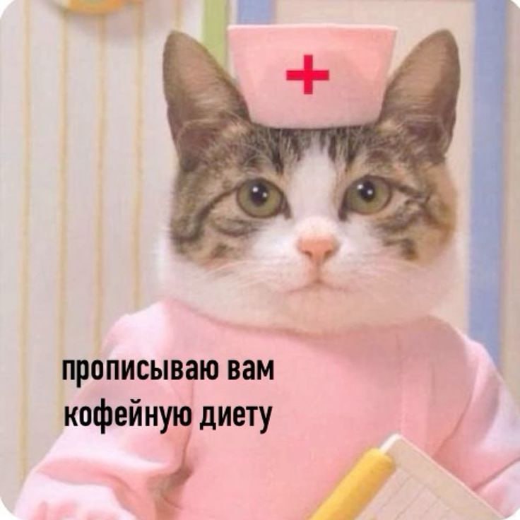 Известный терапевт и телеведущий Александр Мясников развеял миф о вреде кофе для сердца По его словам умеренное потребление напитка безопасно для пациентов с аритмией Ранее считалось что кофеин усиливает сердцебиение и ухудшает состояние но современные исследования это не подтверждают В эксперименте с 500 пациентами с мерцательной аритмией выяснилось что у тех кто регулярно пил небольшое количество кофе приступы возникали реже чем у полностью отказавшихся от напитка Важно соблюдать меру и учитывать индивидуальные реакции организма   Подпишись на kpdvru Мы в MAX