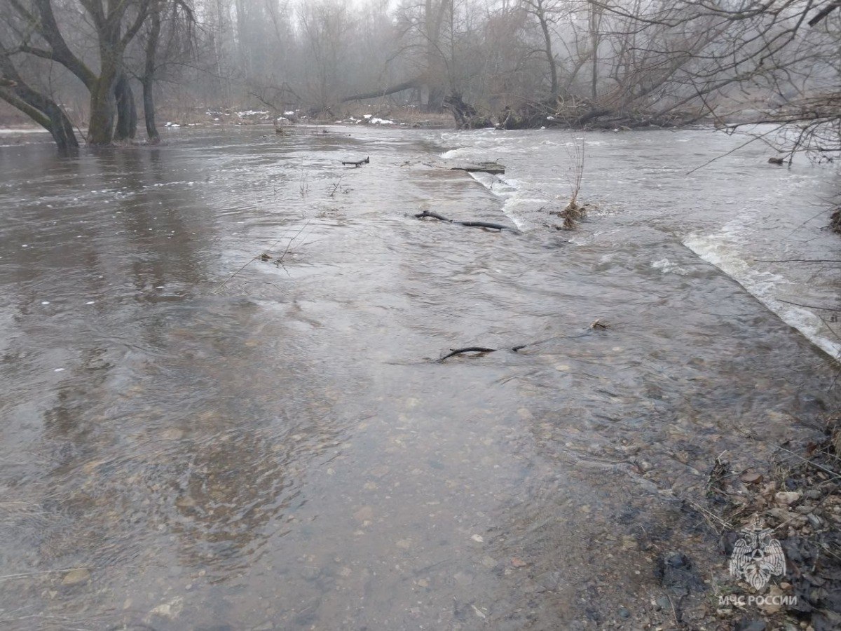 Автомобильная дорога ушла под воду в Смоленской области  По состоянию на 11:20 пятницы, 31 января, в Гагаринском районе Смоленской области произошло подтопление автомобильной дороги. Причиной стал разлив реки Воря.  В пресс-службе ГУ МЧС по Смоленской области сообщили, что затоплен участок дороги в деревне Новое, где уровень воды поднялся на 15 сантиметров. По информации спасателей, подтопленных жилых домов на данный момент нет.   Синоптики объясняют аномальное явление весенней погодой, характерной для января, которая способствует разливу рек. SmolNarod уже писал, что необычно высокая температура уже привела к ЧП в ряде регионов Центральной России. В некоторых районах начавшийся раньше времени паводок подтопил набережные и сместил мосты, а в Тверской области из-за подъема воды обрушилась переправа. В Брянске разлившаяся Десна затопила городской причал. О выходе из берегов смоленского Днепра пока не сообщалось.