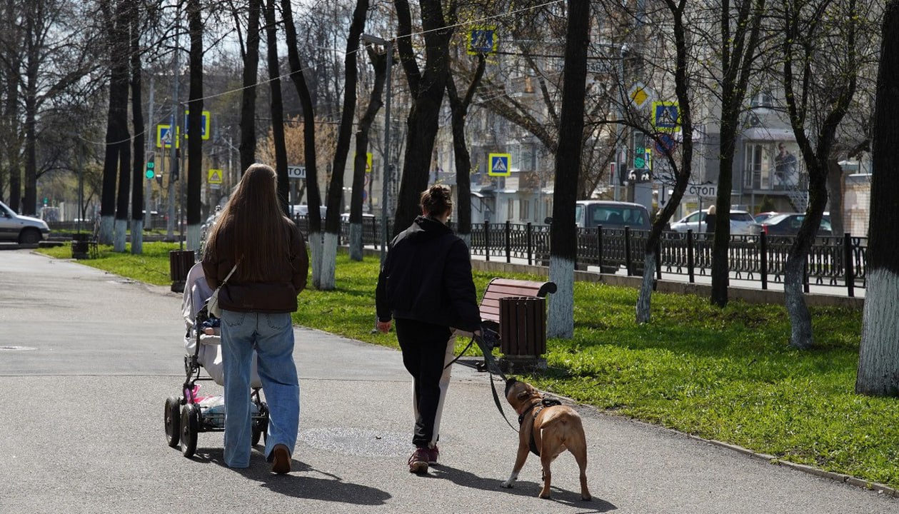 Депутат Госдумы Георгий Арапов предложил ввести дополнительный ежегодный оплачиваемый отпуск под названием «демографическая неделя». Инициативу он направил в адрес министра труда Антона Котякова.  По мнению автора, мера станет редкой возможностью восстановиться после стресса и прийти к внутреннему состоянию для принятия решения о рождении ребёнка. Для одиноких людей неделя может быть использована для знакомств и построения серьёзных отношений.