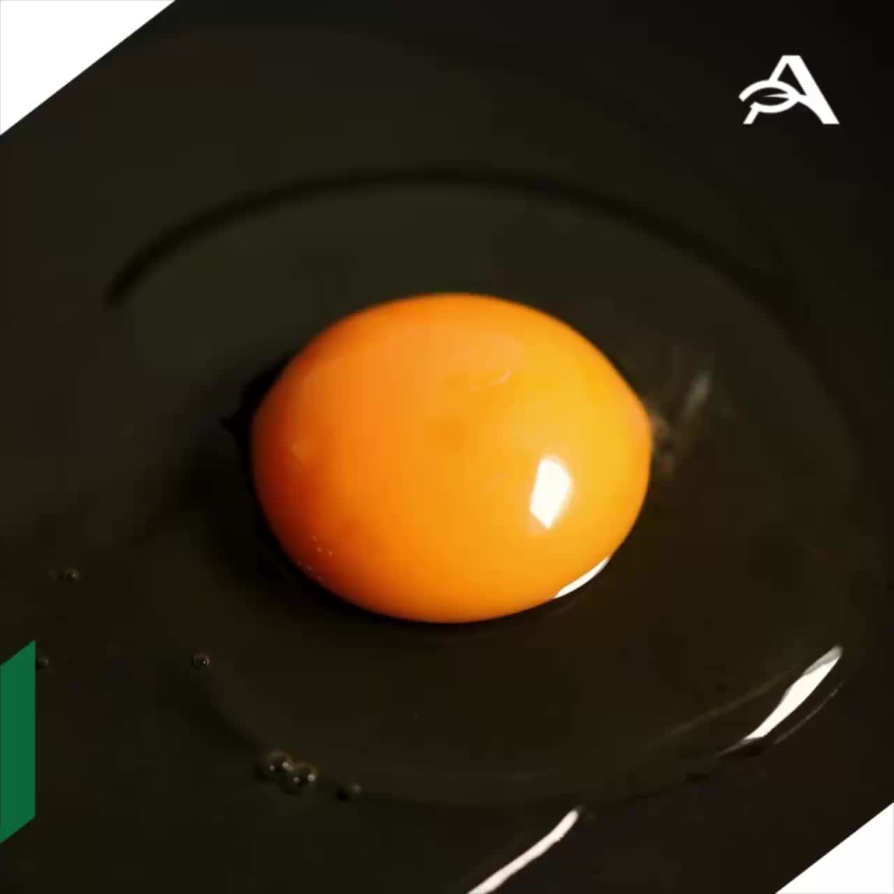 В Подмосковье строят новые заводы для производства сыра и разведения птицы