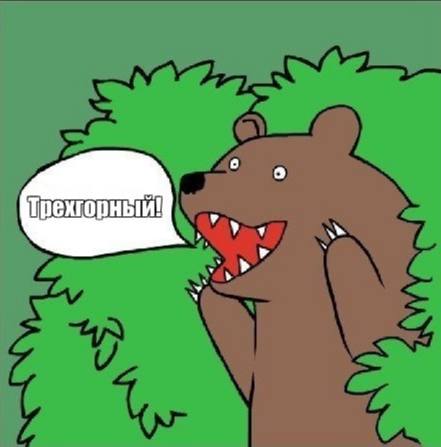 Медведь напугал людей в Трёхгорном Местные жители сообщили о появлении медведя в городской черте — хищника заметили у Приборостроительного завода и на берегу Юрюзани. Власти оперативно предупредили горожан: не приближаться к дикому животному и немедленно сообщать о новых случаях. Поиском косолапого занимаются специалисты.
