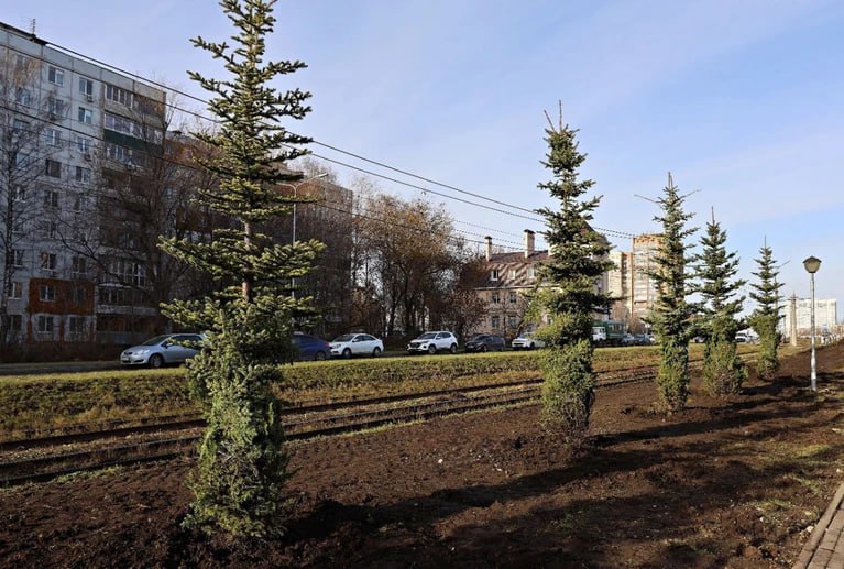 На ул Ташкентской и в сквере Лосином высаживают деревья и кустарники Дополнительное озеленение проводят по поручению главы города Ивана Носкова после его встреч с жителями Всего планируется высадить 2200 деревьев и кустарников лип елей берез рябины снежноягодника и дерена красного Деревья и кустарники укрепят газон вдоль улицы Ташкентской а также станут естественным барьером для пыли Для посадки выбирают материал который адаптирован к нашему климату Весной специалисты проверят состояние молодых насаждений   Подпишись на truekpru63 Мы в MAX