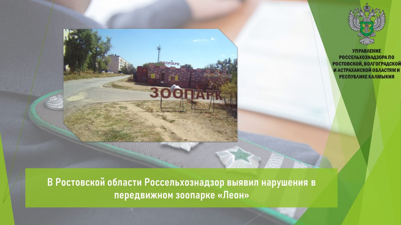 В период с 5 по 22 августа Управление Россельхознадзора провело проверку передвижного зоопарка Леон осуществляющего деятельность на территории Волгоградской и Ростовской областей Основанием для проверки послужили материалы из средств массовой информации о ненадлежащем содержании животных В ходе контрольных мероприятий установлено что предприниматель осуществляет деятельность без необходимой лицензии Кроме того выявлены многочисленные нарушения обязательных требований в части использования животных в культурно зрелищных целях и их содержания По результатам проверки в отношении предпринимателя составлен протокол об административном правонарушении по ч 2 ст 8 53 КоАП РФ и выдано предписание об устранении выявленных нарушений Управление Россельхознадзора продолжит мониторинг ситуации и контроль за исполнением предписания Открыть полный текст Ветеринарный надзор