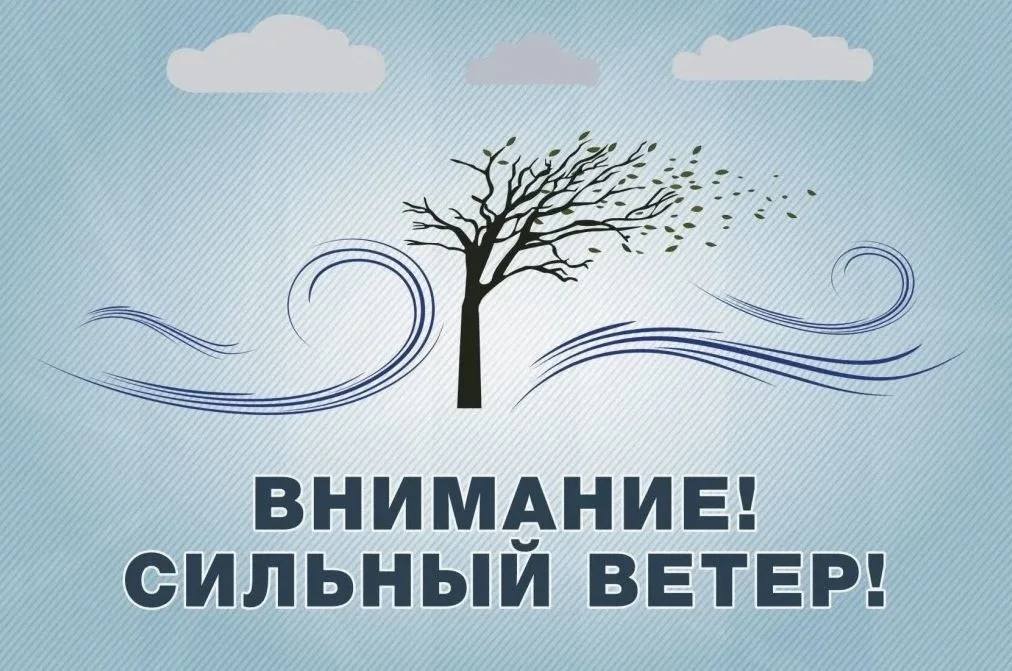 По данным Калмыцкого ЦГМС, 28 мая местами на территории Республики Калмыкия ожидается усиление восточного ветра с порывами до 17-22 м/с, в отдельных районах – пыльная буря. Существует вероятность возникновения происшествий, связанных с обрывами линий электропередач, повалом деревьев, обрушением слабо закрепленных конструкций, повреждением кровель зданий, нарушением работы дорожных и коммунальных служб, нарушением систем жизнеобеспечения населения. Фото: МЧС Республики Калмыкия Быть в курсе Прислать новость