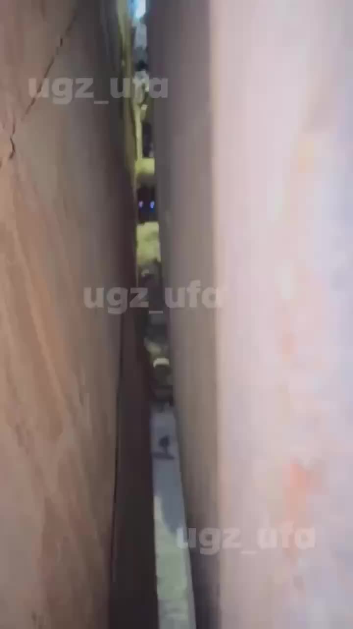 Спасатели Уфы освободили троих щенков из ледяного плена