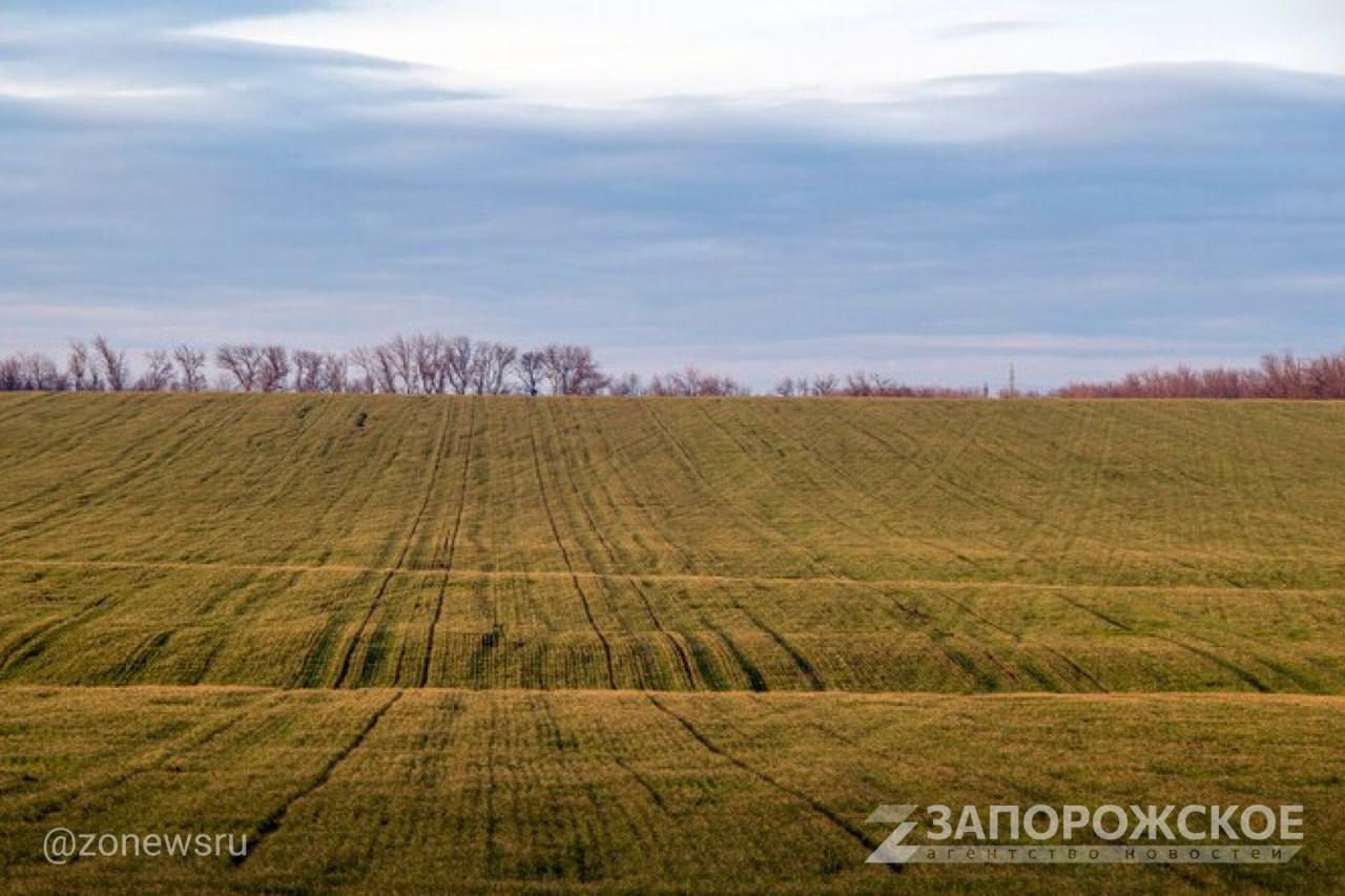 Участники СВО получат гранты на ведение фермерского хозяйства в 2025 году  «Со следующего года мы вводим новую меру поддержки для ветеранов боевых действий — участников СВО. Это гранты на начало ведения предпринимательской деятельности в сельском хозяйстве, то есть на фактически начало становления фермерского движения из участников СВО»,  — рассказала глава Минсельхоза Оксана Лут на заседании программной комиссии «Единой России», говоря о поправках ко второму чтению бюджета.  Читать полностью     , VK и ОК