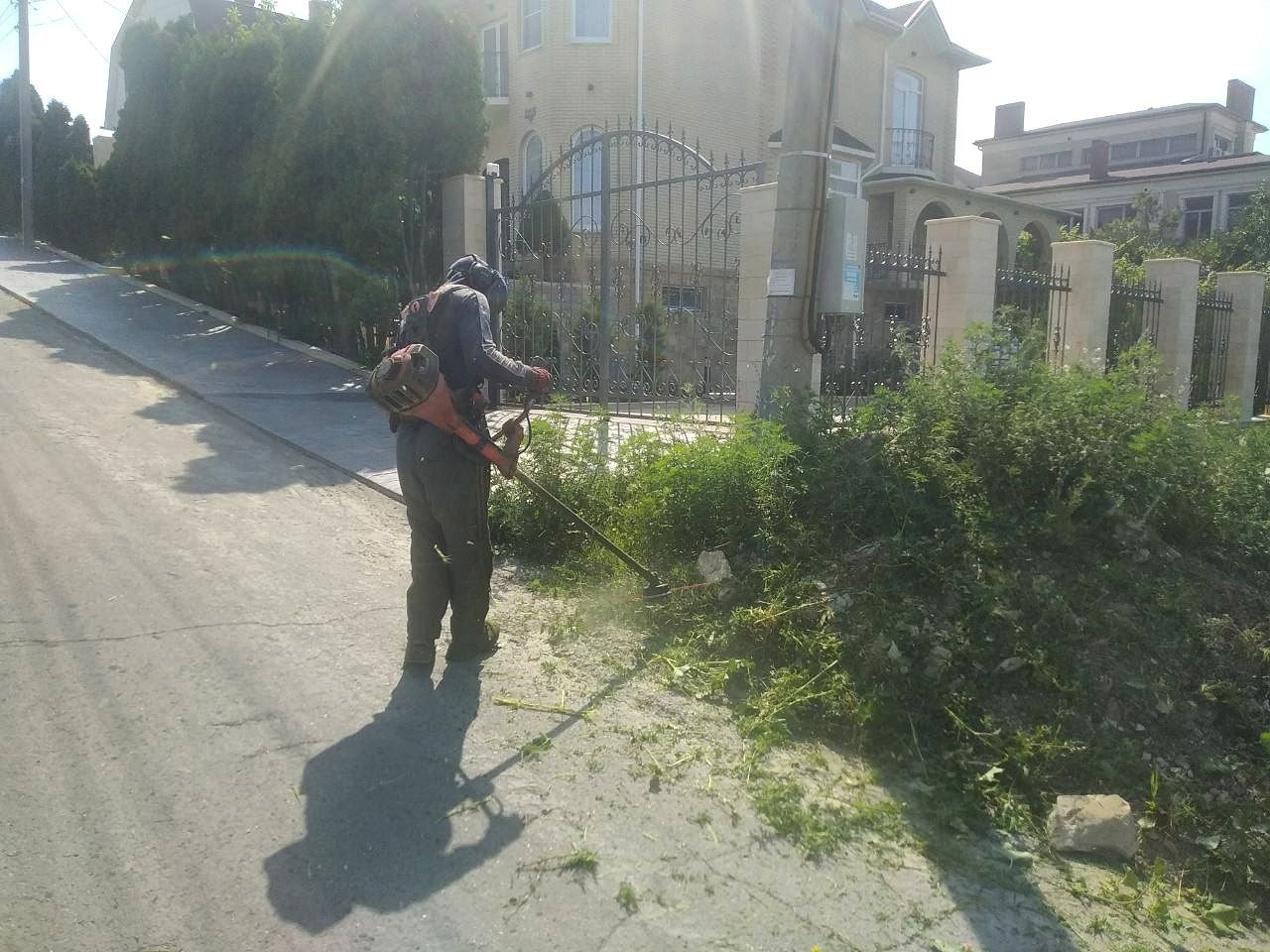 В Анапе всех призвали бороться с амброзией Управление ЖКХ городской мэрии в своих соцсетях напомнило, что согласно ст. 32 ФЗ «О карантине растений» все землепользователи обязаны бороться с карантинными объектами, в число которых входит и амброзия. -В случае неисполнения законодательства предусмотрены штрафы: для граждан — от 1 до 3 тысяч, для должностных лиц — от 2 до 10 тысяч и для юрлиц — от 15 до 50 тысяч рублей. Обращаемся к руководителям предприятий, ИП и жителям: уничтожайте амброзию на своих и прилегающих территориях. Это не только вопрос здоровья, но и обязанность, закреплённая в законе. Сорняк не знает границ, потому бороться с ним нужно всем вместе,-говорится в сообщении. Кто отвечает и будет ли оштрафован за нескошенную амброзию на муниципальной земле в Анапе не уточняется.
