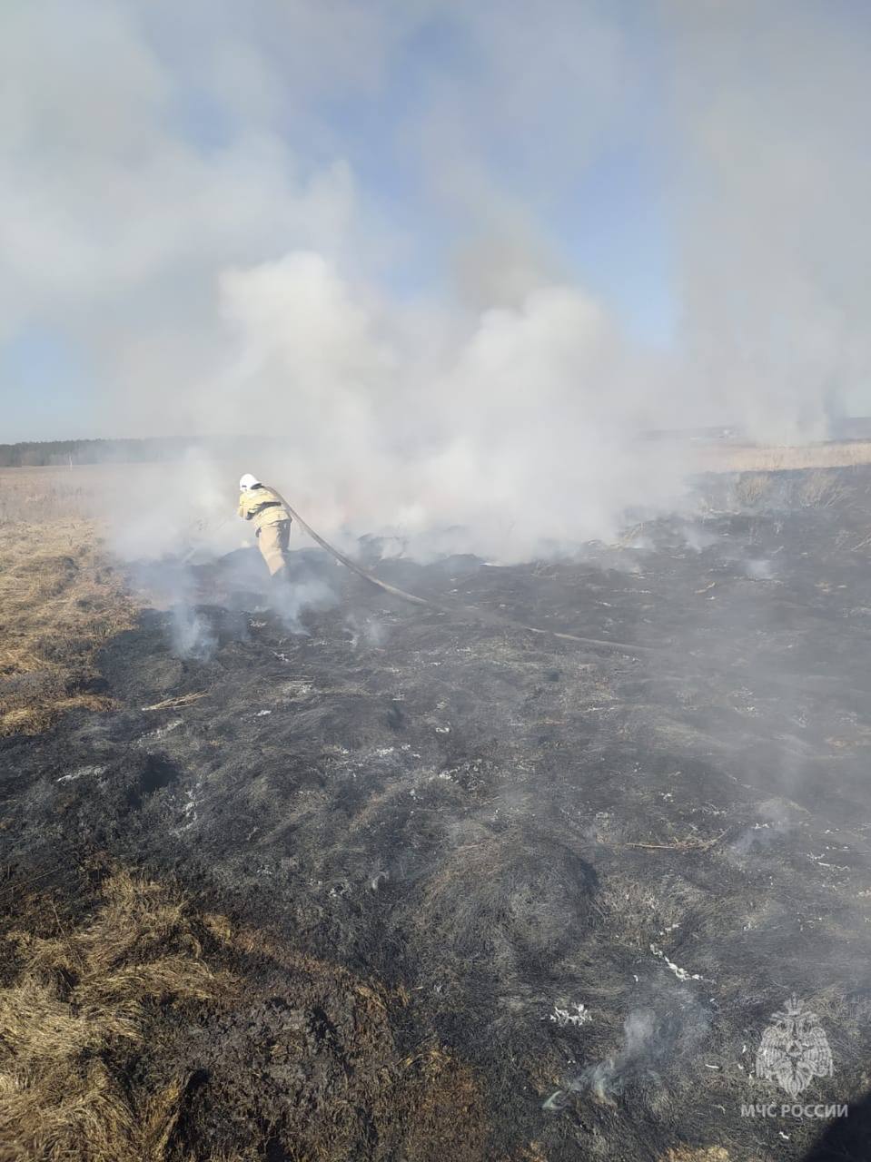 Пожароопасный сезон на подходе: в Курской области за сутки произошло 12 пожаров    Спасатели 7 раз выезжали на тушение горящей травы.    Основная причина возгорания сухой травы — человеческий фактор.    МЧС России напоминает гражданам о важности соблюдения мер безопасности. При обнаружении пожара или признаков горения необходимо немедленно сообщить об этом в службу спасения по телефонам: 101 или 112.     «Вести.Курск». Только проверенная информация.