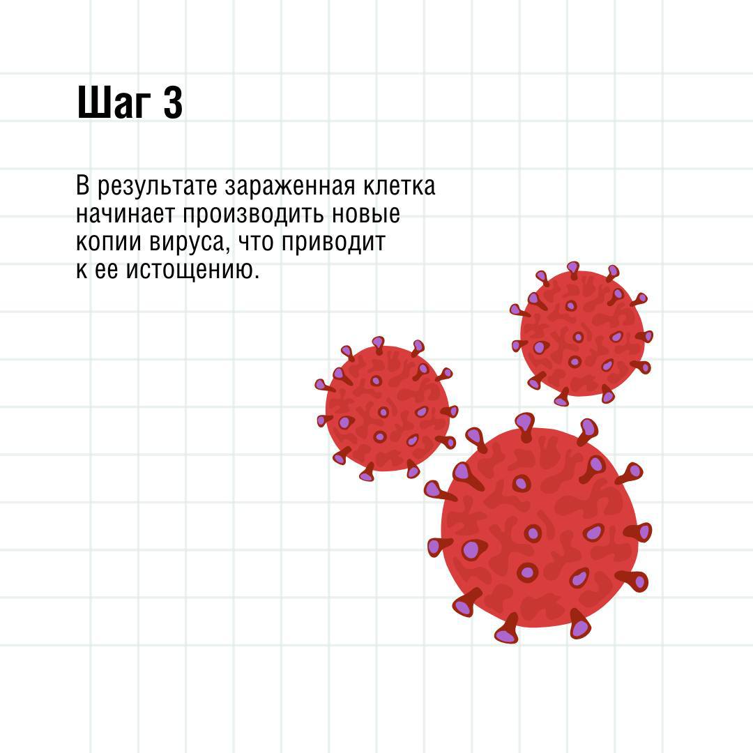 В Роспотребнадзоре подвели итоги тематической «горячей линии» о профилактике ВИЧ-инфекции.   Наибольшее количество звонков поступило из: — Москвы; — Ленинградской области; — Краснодарского края; — Чеченской Республики.  Также активно проводилась консультация населения Луганской и Донецкой Народных Республик.      Пятая часть вопросов в рамках консультирования были посвящены непосредственно профилактике ВИЧ – инфекции, механизмам передачи возбудителя, восприимчивости к инфекции, группам риска и обследованию на ВИЧ-инфекцию.    Следующими по популярности были вопросы, касающиеся эпидемиологической ситуации по ВИЧ-инфекции в России и мире – более 12,2% обращений.   Чуть меньше звонков касались клинических проявлений инфекции, а также получения медицинской помощи и лечения.     В рамках продолжения просветительской работы специалисты продолжают рассказывать о ВИЧ в доступной форме. Это должен знать каждый!