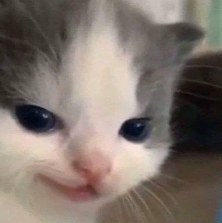 Россиянам дешевле содержать кошек а не собак Выяснилось что кошки пользуются большей популярностью их владельцы ежемесячно тратят от 3 до 5 тысяч рублей на содержание А на собак более 5 000 рублей следует из опроса Тот самый знак что пора