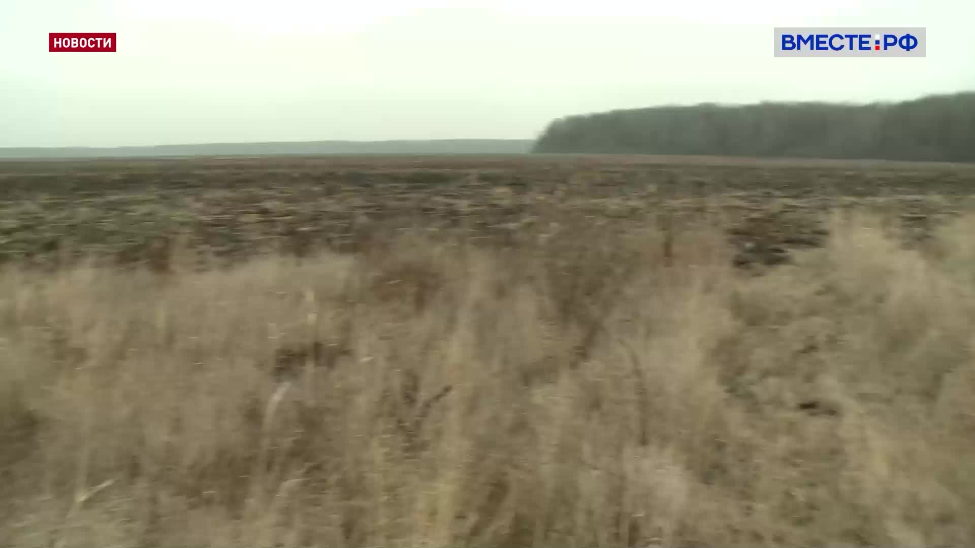 Госдума утвердила законопроект о внесении границ сельхозугодий в ЕГРН