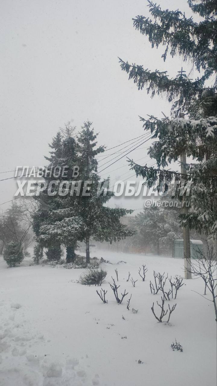 Пасмурное небо с оттенками серого предвещает падающий снег На фото открывается завораживающий зимний пейзаж где земля и деревья щедро укрыты толстым слоем снежного покрова Делитесь своими фотографиями и вы на нашу обратную связь