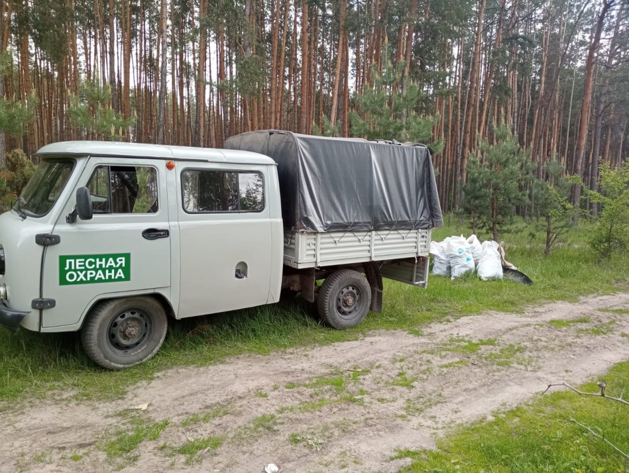 Под Курском ликвидировали четыре незаконные свалки Скопление мусора в лесном массиве заметили на территории Полянского сельсовета, недалеко от СНТ «Авангард». На место выехали сотрудники курского и суджанского лесничеств. Там провели субботник, на котором бытовой и строительный мусор собрали, погрузили в машину и вывезли. Всего от отходов освободили четыре точки, сообщили в региональном Минприроды. Курянам напомнили, что за несоблюдение правил санитарной безопасности в лесах могут оштрафовать. Для граждан размер штрафа составляет до 1000 рублей, для организаций — до 20 тысяч рублей. Фото: Минприроды Курской области Сейм Курская область