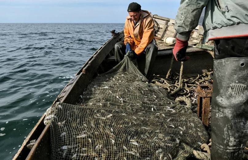Добыча рыбы в Азовском и Черном морях увеличилась Вылов рыбы в Азово-Черноморском бассейне по сравнению с прошлым годом увеличился: - Никаких обнаружений мазута ни в орудиях лова, ни в рыбе не обнаружено. Роспотребнадзор ведет исследование каждой партии рыбы. Тотальная идет проверка. Никаких изменений в рыбной продукции с Азово-Черноморского бассейна нет. И в целом ситуация стабильная. Даже увеличение по объемам добычи по сравнению с прошлым годом, — заявил глава Росрыболовства Илья Шестаков.