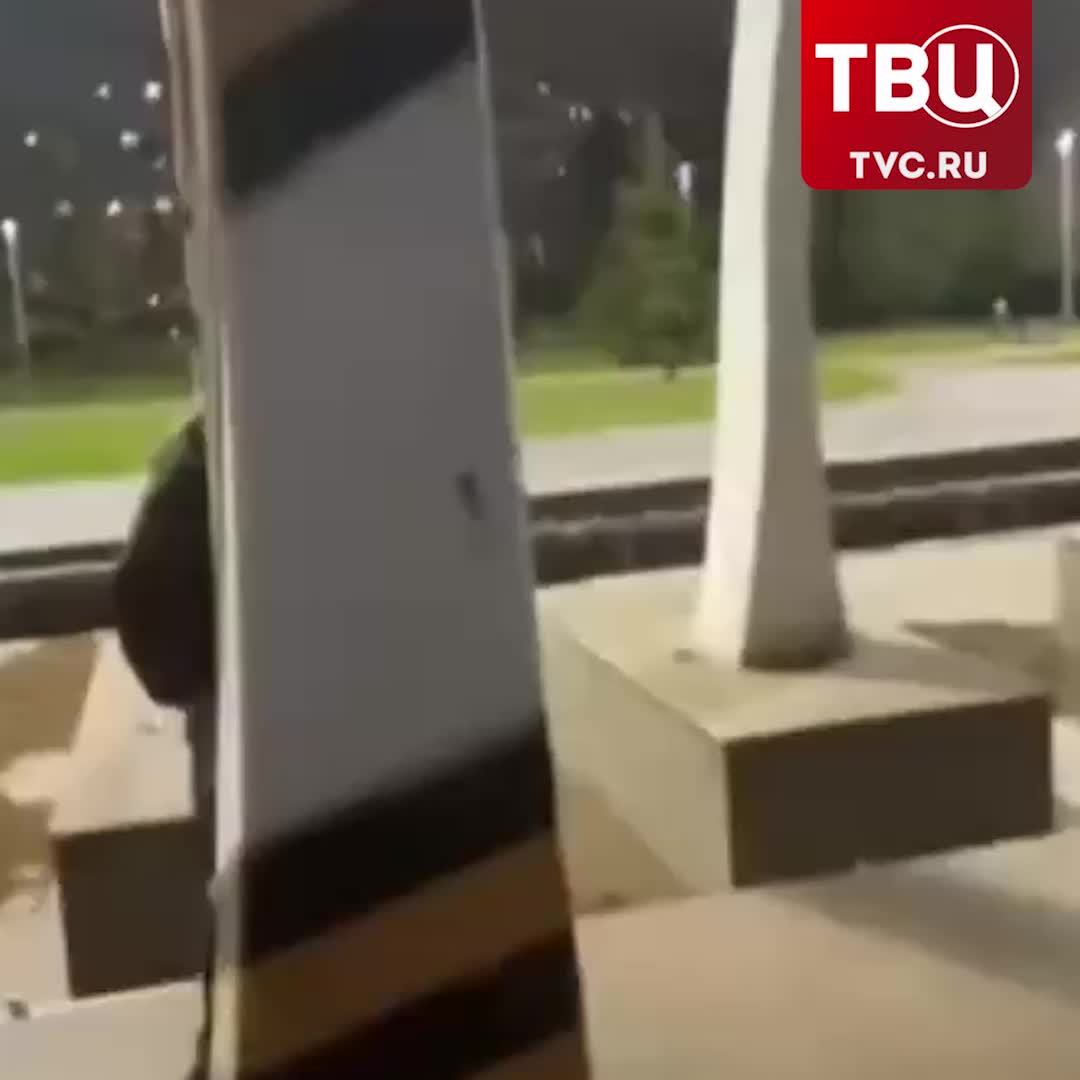 В Набережных Челнах задержаны подростки за осквернение монумента