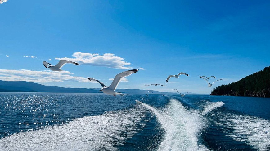 За 8 месяцев Бурятию посетили почти 530 тысяч туристов За январь сентябрь Бурятию посетили 529 5 тыс человек Прирост по сравнению с соответствующим периодом 2024 года составил 3 7 Об этом сообщил министр туризма республики Алдар Доржиев на заседании Совета по развитию туризма при главе региона По его словам предварительно объем платных услуг вырос на 105 9 составил 4 01 млрд руб налоговые поступления в бюджет республики выросли на 107 8 составили 209 3 млн руб Бурятия Подробности в Номер один Сообщить нам свою новость можно по кнопке Письмо в редакцию