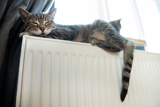 Минстрой России сообщил о начале отопительного периода во всех регионах Как отметил глава ведомства Ирек Файзуллин подготовка к зиме в этом году шла по более строгим правилам На совещании у премьера Михаила Мишустина министр заявил что впервые на законодательном уровне закреплена ответственность за готовность к зимнему периоду По словам Файзуллина к проверке объектов привлекали представителей Ростехнадзора и Госжилнадзора Подписаться на Говорит Москва Telegram VK MAX