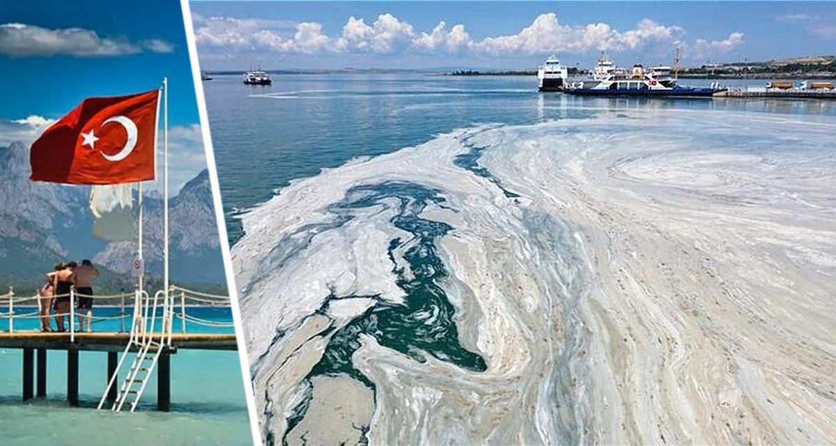 Аланья в опасности загрязнение Средиземного моря стало критическим оно угрожает турецкому курорту и российским туристам Загрязнение Средиземного моря в районе турецкого курорта Аланья достигло опасных масштабов угрожая не только морской флоре и фауне но и туризму основе экономики региона Экологи считают необходимы Ссылка на новость   www tourprom ru news 76611