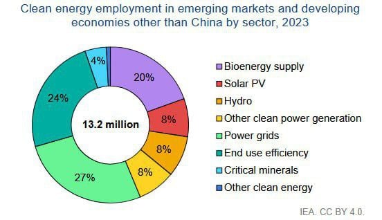 ‍  В низкоуглеродных отраслях энергетики развивающихся стран в 2023 г. было занято в общей сложности 13,2 млн человек  без учета Китая , из них свыше 70% приходилось на пять отраслей:    Строительство и обслуживание электросетей  27% ;   Производство биотоплив  20% ;   Солнечная энергетика  8% ;   Гидроэнергетика  8% ;   Ветрогенерация и редкие виды ВИЭ  8% .
