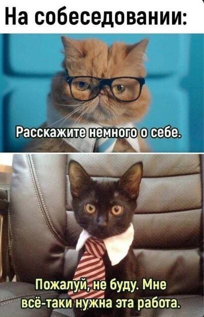 Сладкая ложь За последний год 65 российских компаний столкнулись с недостоверной информацией в резюме По данным сервиса hh ru 37 работодателей сталкиваются с ложью в резюме иногда еще 18 часто и лишь 4 очень часто 30 отметили что подобные случаи им встречаются редко остальные же заявили что никогда не сталкивались с ложными данными В основном ложь касается несуществующих навыков сокрытия реальных мест работы или завышения стажа Чаще всего работодатели выявляют эти факты на этапе собеседования Вранье отражается на репутации сотрудника а если вскрывается после трудоустройства может привести к увольнению и финансовым потерям для работодателя