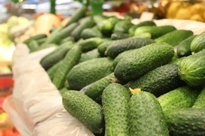 Огурцы оказались продуктом с наибольшим снижением цены в России за последний месяц В апреле их стоимость в среднем снизилась на 15 сообщили в Руспродсоюзе Это на 4 5 меньше чем в аналогичный период прошлого года Ранее Федеральная антимонопольная служба потребовала от крупнейших федеральных ритейлеров объяснить резкое подорожание огурцов Россия Подписаться на Pravda ru Подписаться на Pravda ru в Макс