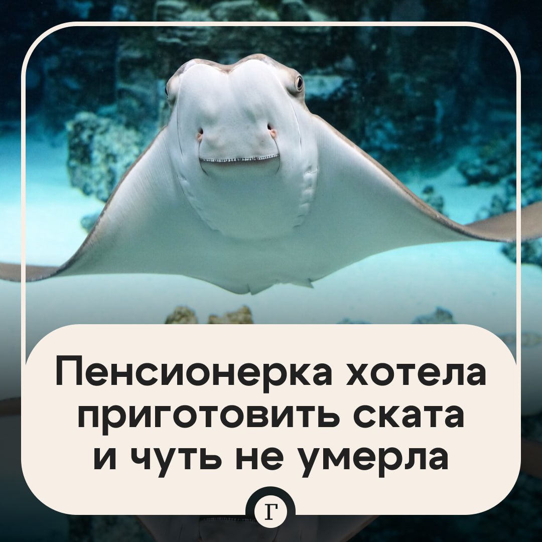 Пенсионерка из Подмосковья хотела пожарить ската и чуть не погибла Сын привез 64 летней матери необычную рыбку на ужин Женщина стала разделывать ската хвостокола и случайно задела рукой его ядовитый шип На протяжении двух дней ее состояние становилось все хуже однако пенсионерка не спешила обратиться к врачу Она просто обрабатывала пальцы йодом и пила жаропонижающее но эффекта от лечения не было В итоге она отправилась к медикам с сильным отеком и посинением левой руки жалобами на жжение и онемение пальцев Врачам удалось нейтрализовать яд и предотвратить его разрушительное действие на организм В больнице напомнили что ядовитый шип скатов очень опасен для людей и даже смертелен Читайте Газету Ru в MAX Участвуйте в розыгрыше