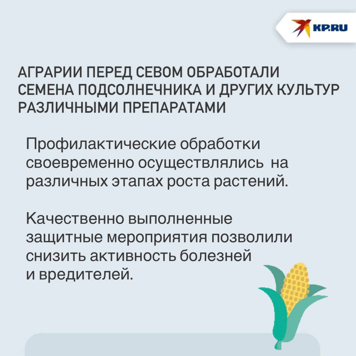 В ДНР болезни и вредители не угрожают подсолнечнику и кукурузе В Донецкой Народной Республике успешно завершается сбор урожая озимой пшеницы и других ранних зерновых культур. Об этом «КП Донецк» сообщили в филиале «Донецкий» Россельхозцентра. Там уточнили, что специалисты Россельхозцентра продолжают мониторинг фитосанитарного состояния посевов подсолнечника, кукурузы и поздних зерновых.