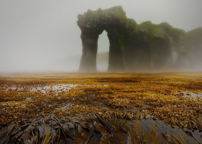 Приём работ на фотоконкурс Самая красивая страна продлится до 31 марта Участвовать могут авторы снимков дикой природы России Награды будут присуждаться в десяти основных номинациях