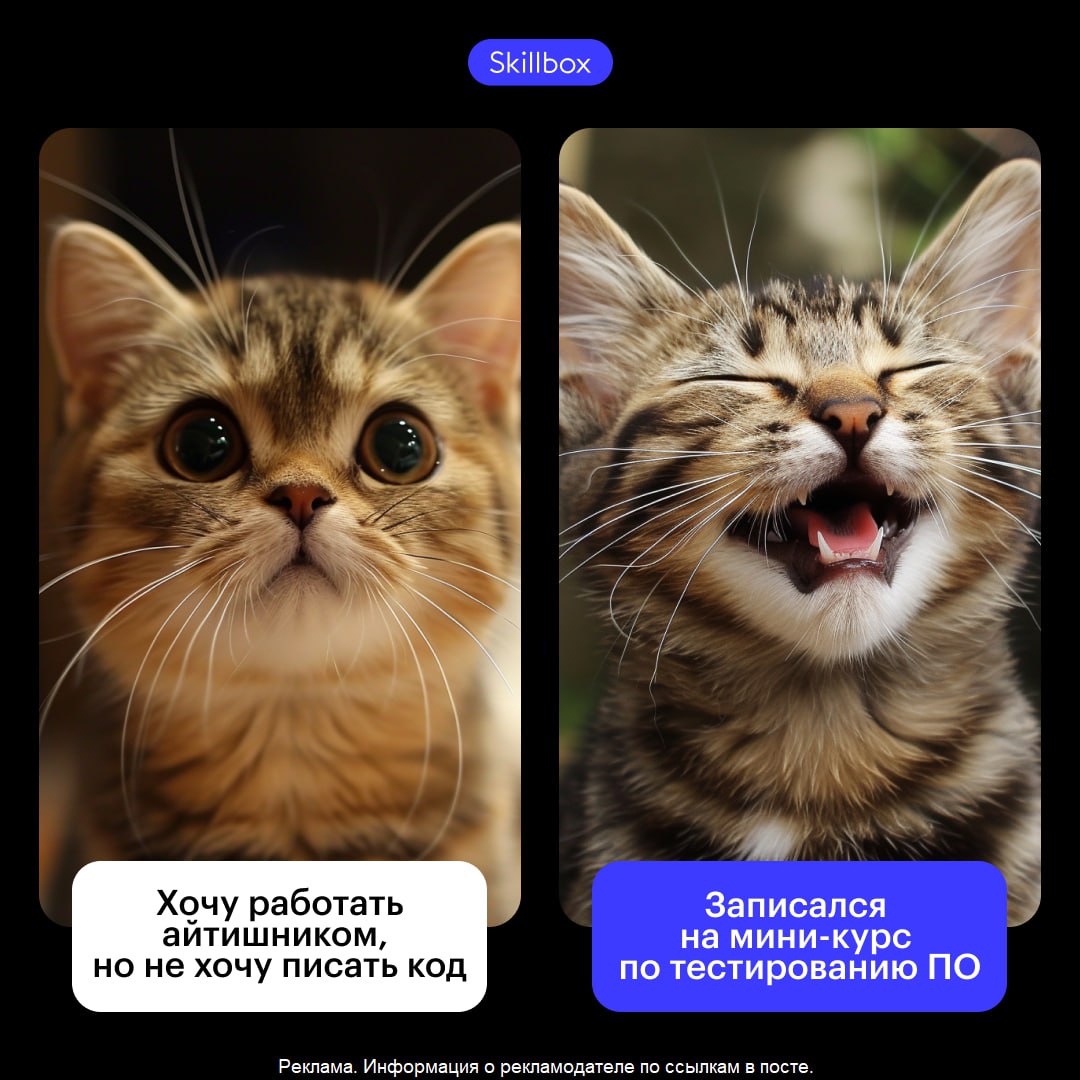 Тестировщики находят ошибки в программах — и зарабатывают от 70 000 ₽ Как «укусить» IT профессию — без обязательств. Skillbox придумал простой способ: вы заходите в Telegram, проходите короткий тест — и получаете серию мини-уроков, где на практике ловите баги, учитесь работать с базами и смотрите, как думают тестировщики. Вы не подписываетесь на вечную учёбу, не платите и не обещаете «изменить свою жизнь». Вы просто проверяете: интересно это вам или нет. И если «да», то вам дадут подарки — курс английского, гайд по профессии и шанс выиграть 1,5 млн в хакатоне. Мест почти не осталось. Забирайте, вход пока открыт: получить курс.