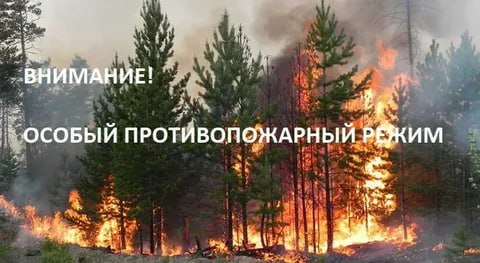 ‼ ℹ Отдел надзорной деятельности и профилактической работы по городу Северодонецку УНД и ПР ГУ МЧС России по ЛНР напоминает: С 11 мая 2025 года вступило в силу Постановление правительства Луганской Народной Республики №75/25 о установлении Особого Противопожарного Режима. На период действия особого противопожарного режима устанавливаются дополнительные требования пожарной безопасности. На основании установленного особого противопожарного режима разведение/использования открытого огня на территории Республики ЗАПРЕЩЕНО, ни на каком расстоянии, ни при каких условиях. Полный запрет. При выявлении граждан, которые не соблюдают указанный режим сотрудниками Государственного пожарного надзора будет применена административная мера воздействия в виде штрафа – от 10 тысяч рублей. Такая форма как «предупреждение» в период действия указанного режима не предусмотрена».