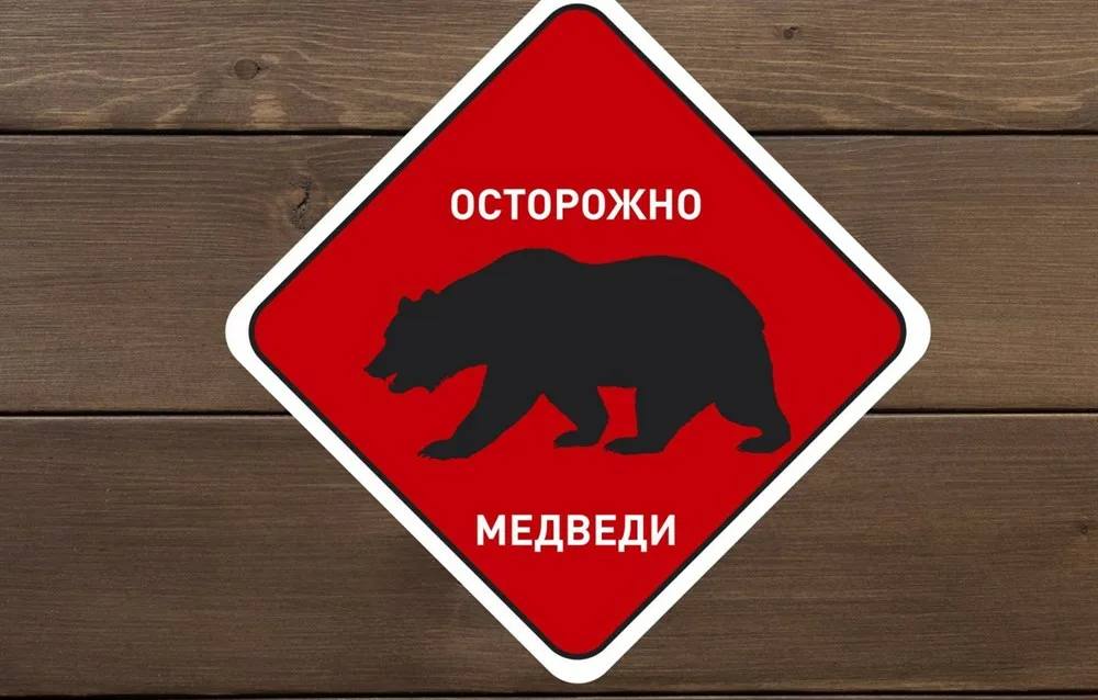 Жителей малоярославецких деревень предупреждают о медведях  Медведицу с медвежатами недавно видели у сельских поселений Рябцево и Ильинское. Как сообщил глава  районной администрации Вячеслав Парфенов, охотовед и представители охотхозяйств проверяют информацию. Граждан призывают быть осторожными и избегать посещения лесов, так как взрослые медведи в этот период особенно опасны.    ES! - канал. Подписаться