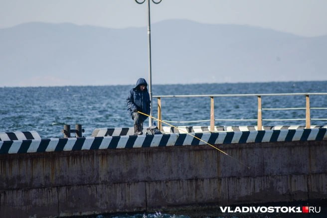 Председатель Федерации рыболовного спорта Приморского края Александр Ермолаев высказался по поводу решения комиссии Росрыболовства РФ по регулированию добычи анадромных видов рыб в Приморском крае. Он считает, что запрет приняли неправомерно.  — Я — человек, который крепко связан с приморскими реками, с рыбалкой и с людьми, для которых это — не просто хобби, а часть жизни. И мне больно видеть, как принимаются решения, которые не просто несправедливы — они откровенно абсурдны. Комиссия, которая решила закрыть для рыбалки реки Раздольная и Петровка, либо никогда там не была, либо… Нет, второго варианта просто нет. За 20 лет ни одного лосося в этих реках! Я готов поспорить на ящик коньяка — пусть мне покажут хоть одну нерестовую зону на Раздольной. Более того — эта река уходит в Китай, и даже там никто не видел лосося в реке Раздольная! — говорится в его сообщении, опубликованном в  .  Он отметил, что итогом стало лишение тысяч приморцев возможности просто приехать с семьёй, посидеть с удочкой, поймать красноперку — самую дешевую рыбу, не являющуюся промысловой. А на реки Раздольная, Петровка, Суходол, Шкотовка всегда приезжали для семейной рыбалки. От Владивостока, Артёма, Уссурийска — люди едут туда не за лососем, а за простой рыбой, за отдыхом. Теперь их будут штрафовать.  — Самое возмутительное — решение принято без консультации с теми, кто знает эти реки. Никого из рыбаков, ни федерацию, ни общественников даже не спросили. Можно было хотя бы пригласить тех, кто здесь рыбачит десятилетиями. Но нет — проще подписать бумажку и создать проблему там, где её не было, — объяснил рыбак.  Он, от имени тысяч рыбаков Приморья, потребовал немедленно пересмотреть списки закрытых рек — на основе фактов. И в дальнейшем привлекать экспертов и общественность перед такими решениями. А также вернуть людям доступную рыбалку — потому что это не привилегия, а часть их жизни.    Подписаться