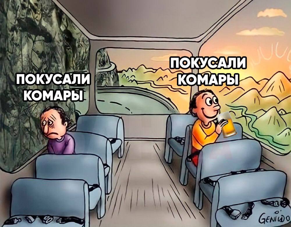 Комары кусают тех кто пил пиво и занимался сексом ученые выяснили что у любителей тусовок и пенного пьют кровь чаще Эксперимент прошел в полевых условиях на фестивале 500 добровольцев клали руки в бокс с комарами которые не могли их укусить но чуяли запах bankser