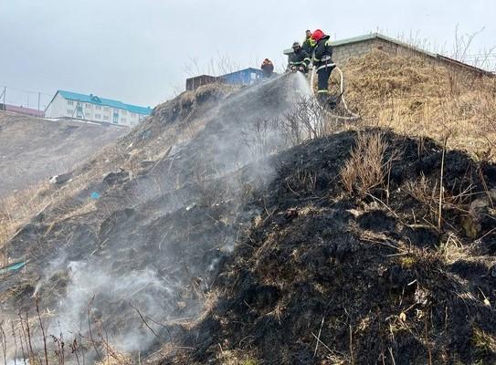 Невельские пожарные ликвидировали горение бамбука на площади в 1 гектар  24 сентября в 16:41 в диспетчерскую Невельского пожарного отряда поступило сообщение о возгорании травы на 16 – м километре автодороги Невельск- Шебунино.  Пожарные прибыли на место в 16:41  К этому моменту горел бамбук на склоне сопки площадью 10000 квадратных метров.  В тушении были задействованы 5 человек личного состава, 2 единицы техники 13 ПЧ, а также 5 человек сотрудников лесопожарной станции.  Пожар локализовали в 18.03, а в 18:10 полностью ликвидировали.  Пострадавших и погибших нет. Причины пожара устанавливаются.