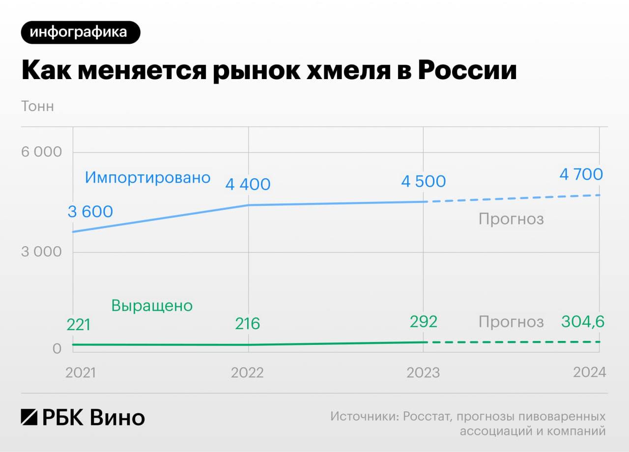 Российская пивная отрасль практически полностью зависит от импорта одного из главных ингредиентов — хмеля. По оценкам экспертов, отрасль обеспечивает себя хмелем только на 3-5%, остальной хмель в стране импортный.    Существует четыре обязательных ингредиента, без которых невозможно сварить пиво: вода, ячменный солод, пивные дрожжи и хмель. Если с первыми тремя проблем нет, то заместить импортный хмель пока не удалось. Доля хмеля в стоимости пива невелика – 1,5–5%. Но он отвечает за горчинку и аромат, а также является естественным консервантом.   Российский хмель продается от €6 до €10 за килограмм, а зарубежный — от €12 до €22 за килограмм, редкие сорта доходят €60. Казалось бы, с такой экономикой ничего не мешает массово перейти на отечественный хмель, однако на практике это оказывается совсем не так просто.   Хмель дает урожай только на третий год после посадки, через семь лет его необходимо высадить заново, культура очень требовательна к влаге, составу почвы, количеству солнечных дней и другим факторам. После уборки его надо быстро высушить, гранулировать и распаковать с специальные мешки с инертным газом. Долгий цикл производства и сложная обработка приводят к тому, что хмель оказывается дорогим.    Инвестиции в посадку одного гектара хмельника колеблются в пределах от 5 до 12 млн руб. Долгий возврат инвестиций и высокий порог входа делает хмель не слишком привлекательным для аграриев. Пивовары считают, что изменить ситуацию могла бы программа возврата части акциза на пиво. Однако Минсельхоз пока не планирует создавать такой механизм.   Впрочем, рост производства хмеля уже начался: крупнейшие производители пива объявили о создании собственных проектов, стремясь минимизировать риски о недопоставок сырья из Европы. В итоге в прошлом году объемы производства хмеля начали расти, хотя в абсолютных цифрах он пока остается на очень низком уровне. За год валовой сбор хмеля в целом по России вырос на 35%. По данным Росстата, по итогам полного 2023 года было собрано 292 т хмеля, а по итогам 2022 года показатель составил 216 т.   Как пивовары замещают импортный хмель российским   Подписаться на «РБК Вино»