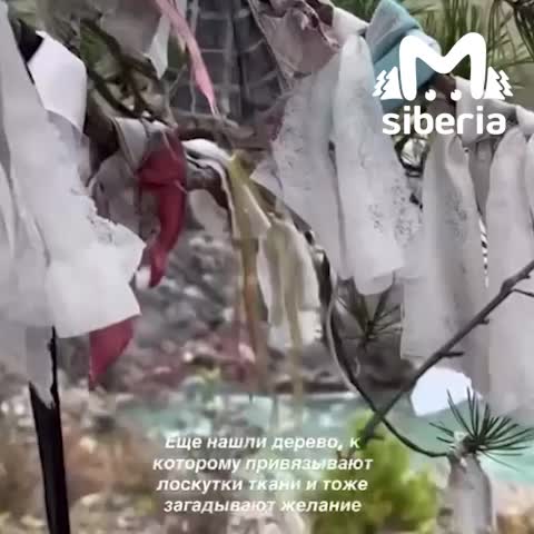 Блогер из Новосибирска вызвала недовольство жителей Алтая своим поступком