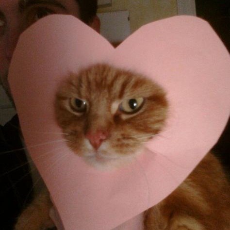 День святого Валентина в России предлагают перепрофилировать С такой инициативой выступили в Госдуме Первый зампред комитета по защите семьи Татьяна Буцкая считает что 14 февраля можно сохранить как дату для признаний в любви но уйти от упоминания святого Валентина По словам депутата праздник можно переосмыслить и сделать например Днём любви или Днём плюшевой игрушки как символа доброты и нежности Мы вполне можем 14 февраля не вспоминая Валентина с его неоднозначной историей сделать праздником тех для кого слова любовь семья дети важнейшие в жизни Немножко изменить ориентиры но оставить возможность признаться в любви показать симпатию предложить руку и сердце отметила Татьяна Буцкая Буцкая подчеркнула что День всех влюблённых прижился в России во многом потому что долгое время не было альтернативной даты для романтических признаний При этом в стране уже существует День любви семьи и верности который отмечают 8 июля в память о Петре и Февронии Этот праздник по её словам больше посвящён крепким семьям долгим бракам и верности хорошая идея главное сохранить смысл оставьте 14 февраля таким какой он есть Подписаться на 4 канал Мы в MAX