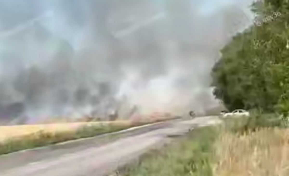 Очевидцы поделились кадрами горящего поля в совхозе "Масловском" В совхозе «Масловском» Воронежской области загорелось поле. Причины возгорания пока неизвестны. Ранее в регионе установили желтый уровень погодной опасности из-за высокого риска возникновения пожаров. ↗ Прислать новость Подписаться