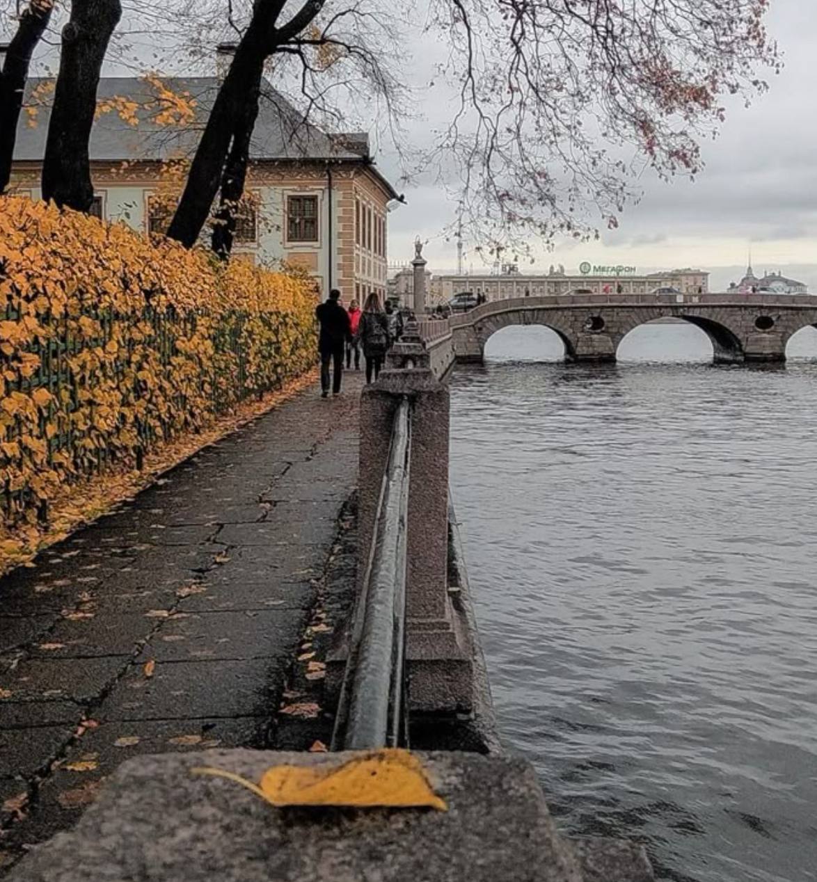 Все мы боремся с осенней хандрой своими способами Продавцы фиксируют четырехкратный рост спроса на вибраторы в октябре Особенно часто выбирают гаджеты с подогревом Россиянки массово закупаются игрушками а психологи говорят что смена сезонов меняет биоритмы потому девушки стремятся к уединенному комфорту Каждый это самое как он хочет но редакция канала Лобушкин всё же рекомендует попробовать прогулки и объятия в осеннем экстерьере lobushkin