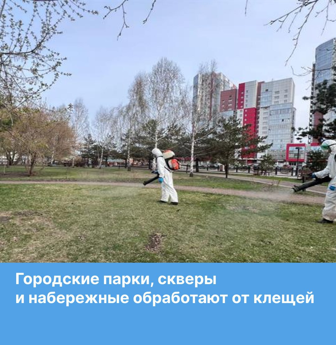В Красноярске с 15 мая начнут акарицидную обработку против клещей в местах отдыха города. Где планируется обработка: Ярыгинская набережная; Парк 400-летия Красноярска; Парк Покровский; Скверы Космонавтов и Юдинский; Парки «Сибсталь» и «Солнечная поляна»; Набережная им. Хазрета Совмена; Озеро-парк Октябрьский. Обработка возможна только в отсутствии осадков и при плюсовой температуре. В дни проведения работ специалисты просят воздержаться от посещения парковых зон. ______ Оставить обращение