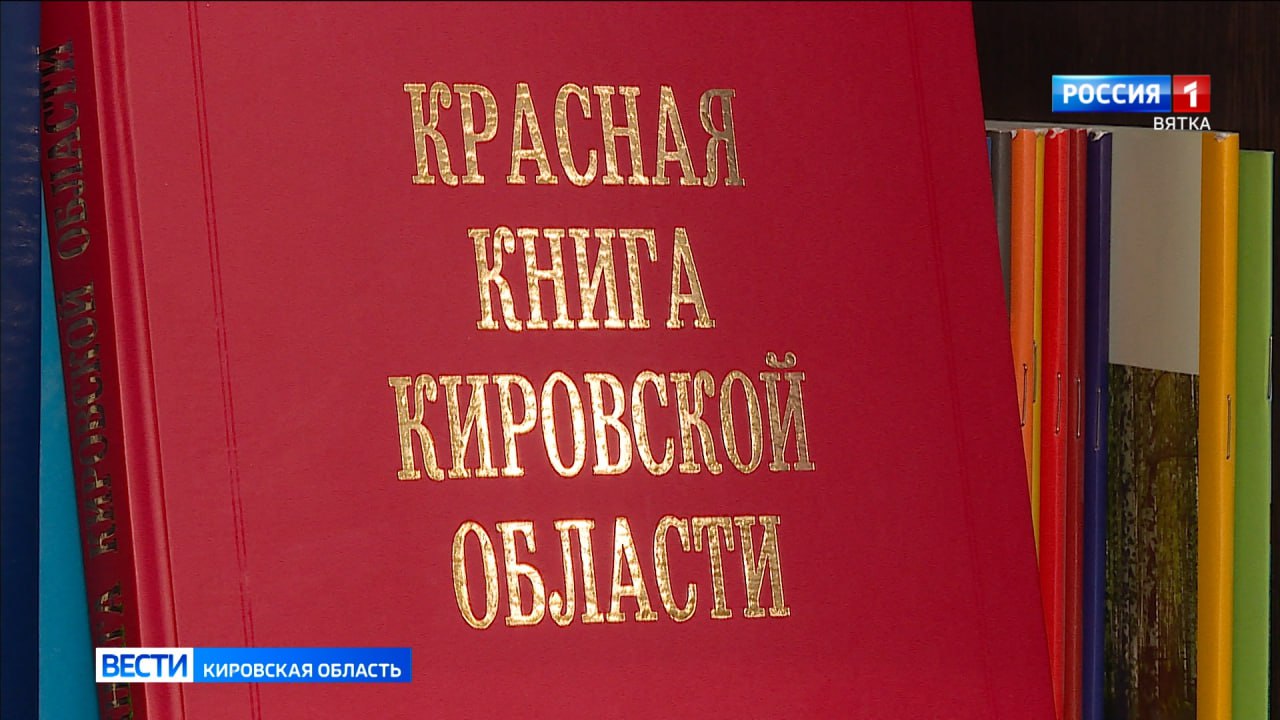 Тираж третьего издания Красной книги Кировской области планируется выпустить в 2026 году.   Сейчас идет подготовка очерков с информацией о статусе и численности видов, с описанием особенностей биологии, экологии, факторов, ведущих к сокращению численности. Каждый очерк будет сопровождаться изображением соответствующего животного или растения, а также картой с отмеченными местами встреч. Материалы разрабатываются на основе научных данных, накопленных за последние 10 лет. Работу ведут специалисты Всероссийского научно-исследовательского института охотничьего хозяйства и звероводства имени профессора Житкова.