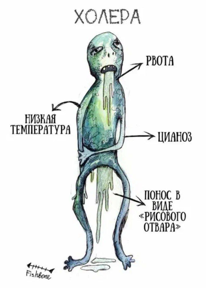 Холера возвращается...  По крайней мере в Африке, холера становится серьёзной проблемой. Так, эпидемические очаги холеры обнаружены в 23 странах-членах Африканского союза.   По данным Африканского центра по контролю и профилактике заболеваний, в первые 7 месяцев нынешнего года было зафиксировано 220 тысяч случаев заболевания холерой, тогда как за весь 2024 год их было зафиксировано 254 тысячи. Больше всего заболевших в Южном Судане, ДРК и Анголе.