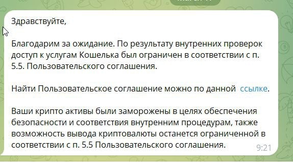 Россияне пожаловались на блокировку счетов в телеграм-кошельке после того, как их внесли в реестр террористов и экстремистов  О блокировке криптовалюты на своем Telegram Wallet сообщил омский активист Даниил Чебыкин. По его словам, произошло это на следующий день после его внесения в реестр Росфинмониторинга. Во время общения с поддержкой мессенджера Чебыкин выяснил, что криптовалюта на кошельке останется замороженной навсегда. Там же активисту сообщили, что он нарушил пункт 5.5 пользовательского соглашения. В результате он потерял около 170 долларов.  Об аналогичной сиутации сообщил журналист Лев Гяммер. Он потерял более 100 долларов.  Это Борус